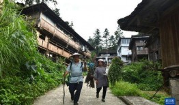 村庄在线观看,村庄在线观看之旅