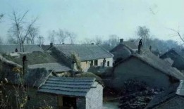 兴化今日生活爆料电话,聚焦民生，倾听百姓心声